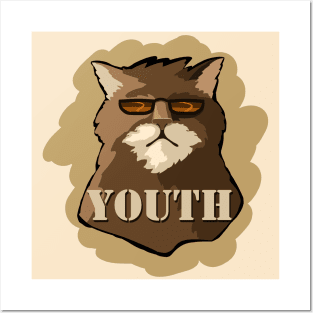 Cat youth (colored) Posters and Art